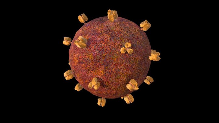 Virus HIV 3D Model