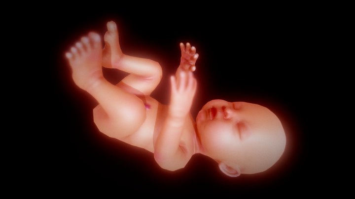 Baby A 3d Model Collection By Atiyehnorouzi Atiyehnorouzi Sketchfab