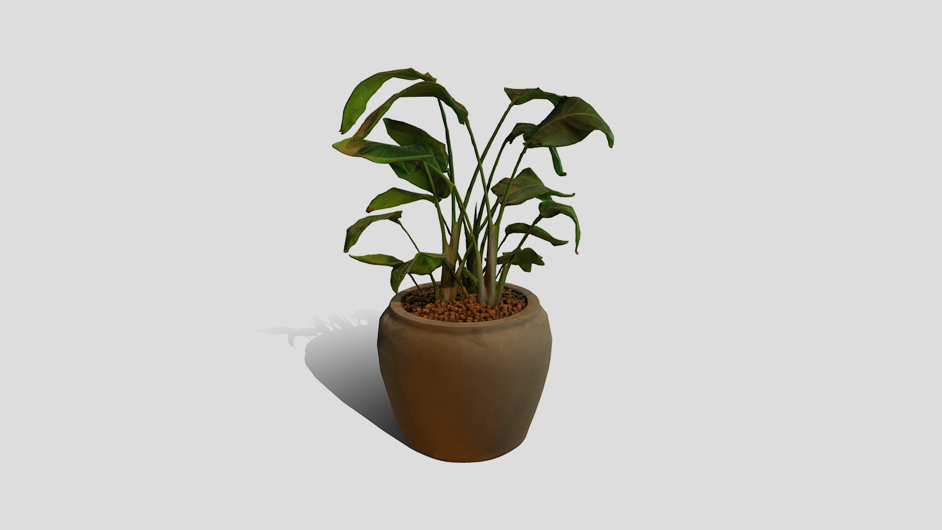 3D model Plant 1 - This is a 3D model of the Plant 1. The 3D model is about a potted plant with a green plant in it.