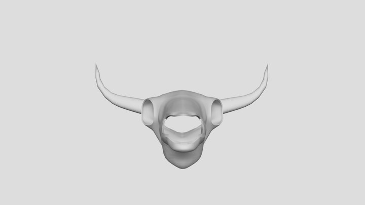The bull's skull – Modello 3D gratuito STL