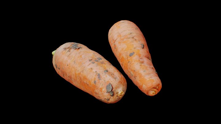 Scan Carrot-Freepoly.org – Free 3D Model STL