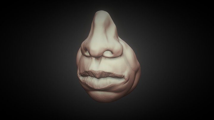 Mouth & Nose: Day 01 Sculpt January 3D Model