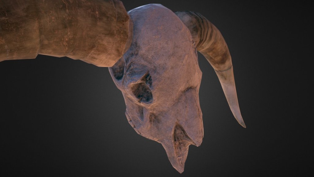 Bison Skull Sculpture With Horns