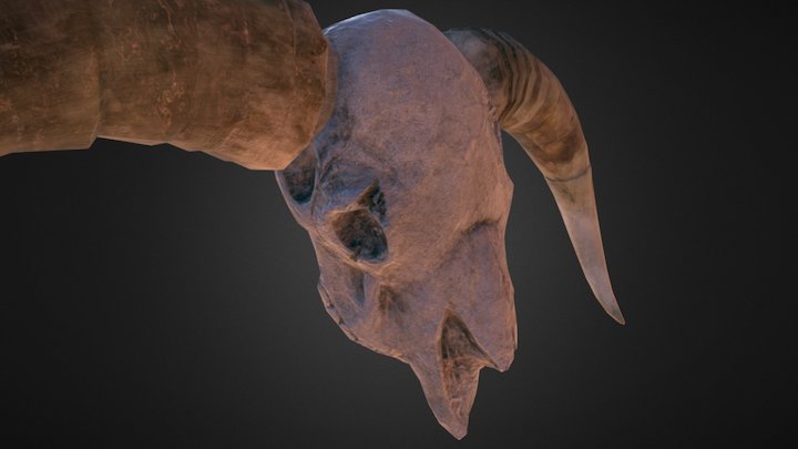 Bison Skull Sculpture With Horns 3D Model