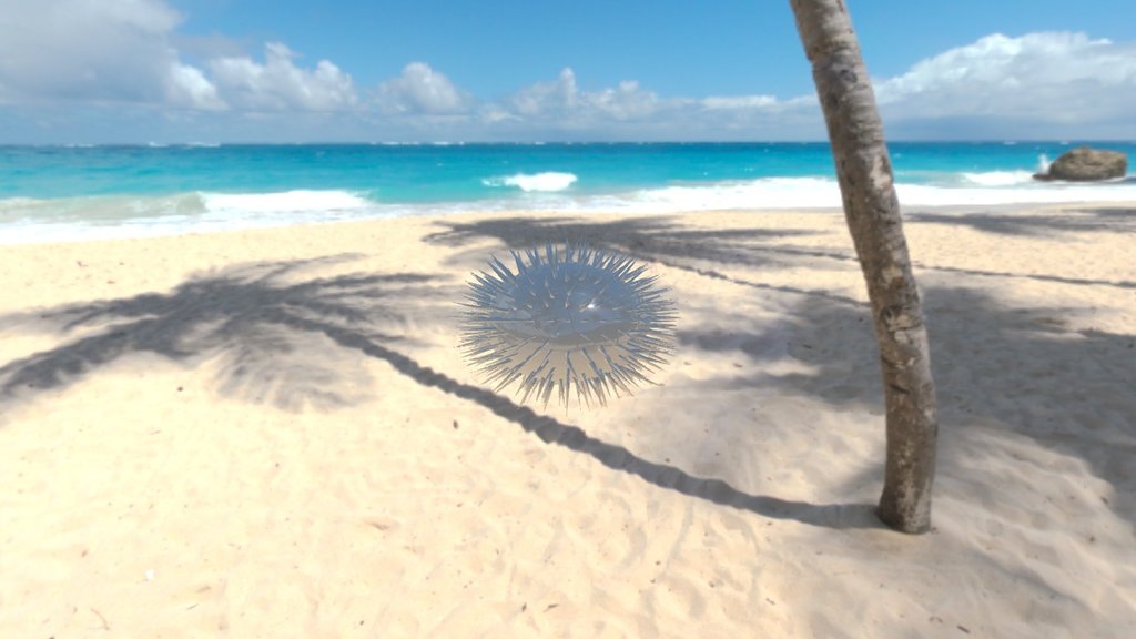 Urchin