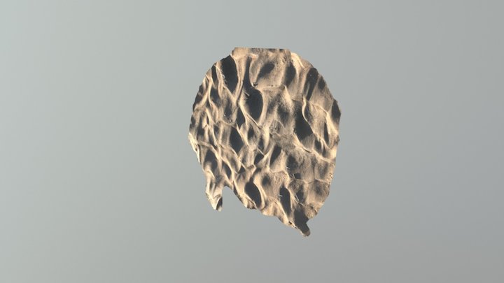 Ripples 3D Model