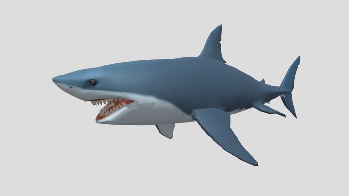 LowPolyShark 3D Model