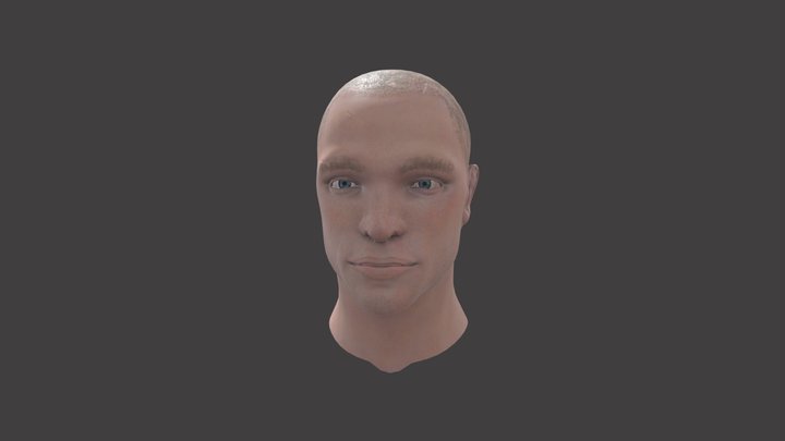 George St-Pierre Head Sculpt 3D Model