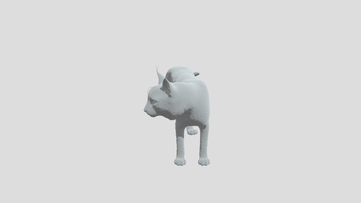 Lynx 3D Model