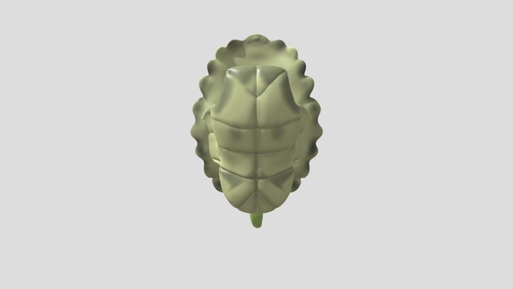 Tubular Don shell 3D Model