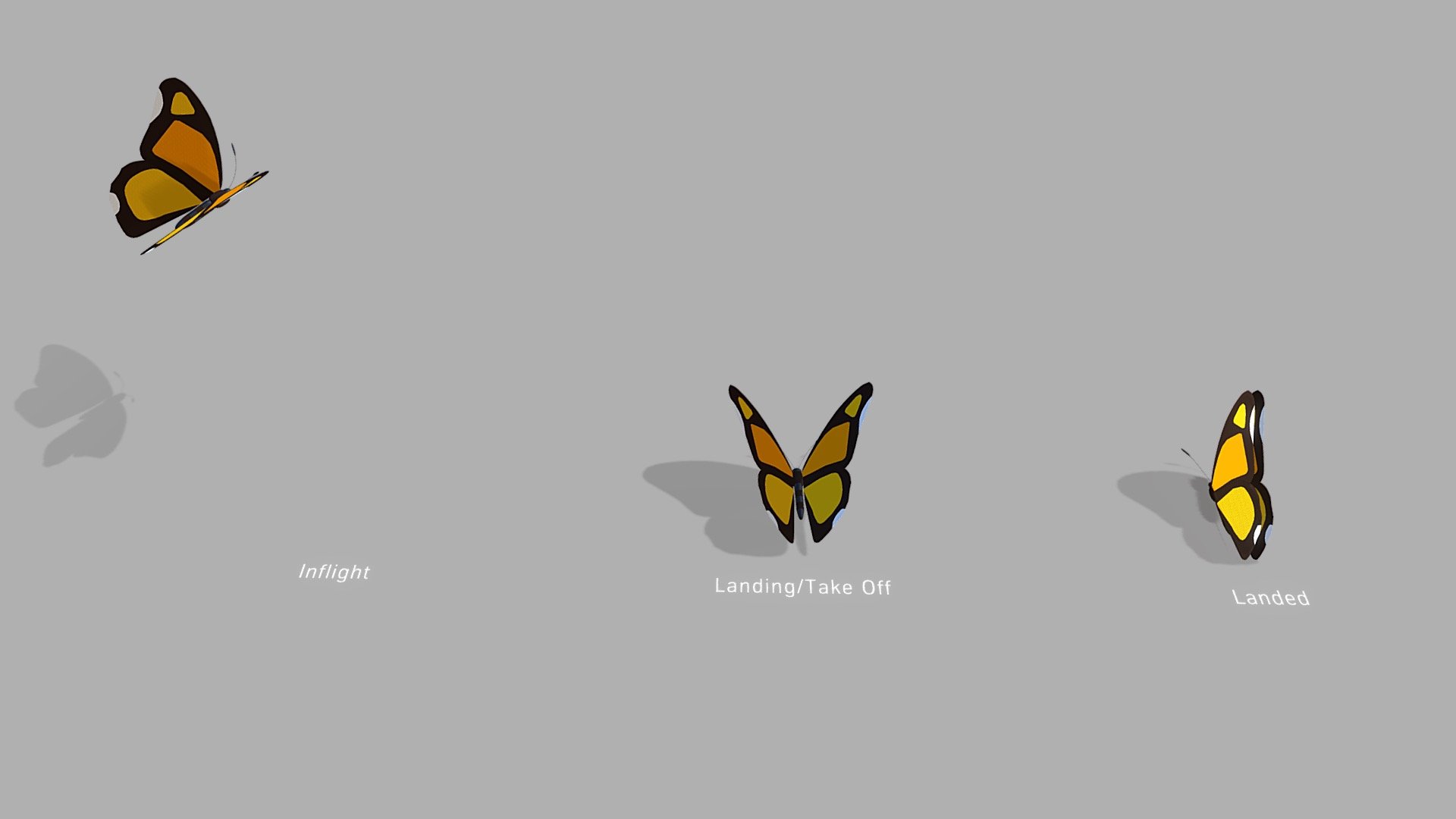 Monarch Butterfly Motions
