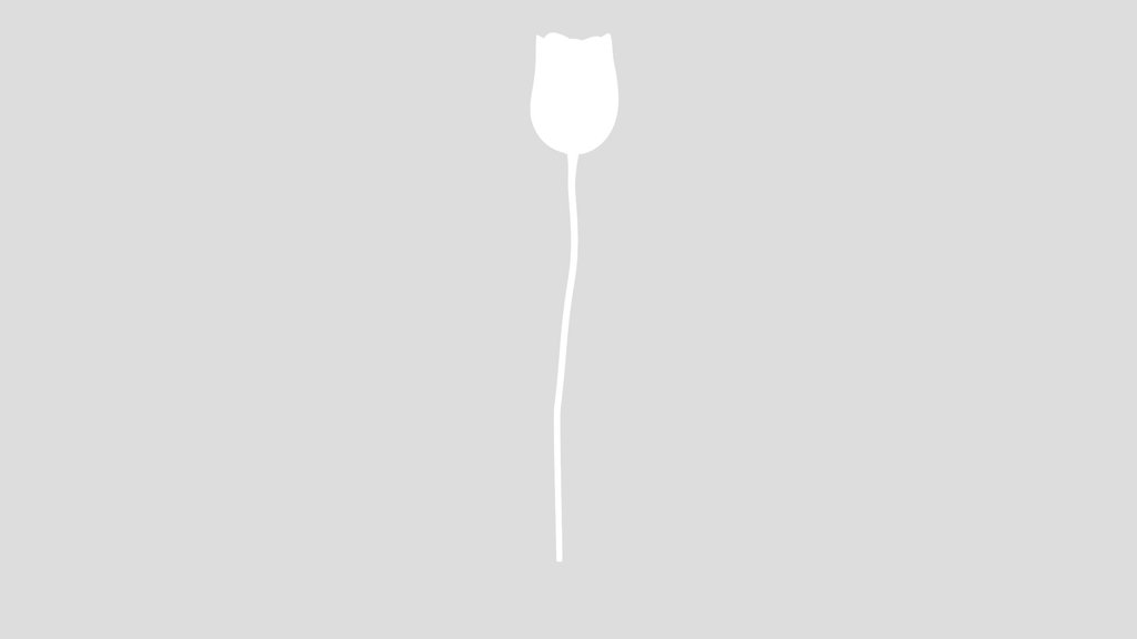 Tulip Flower