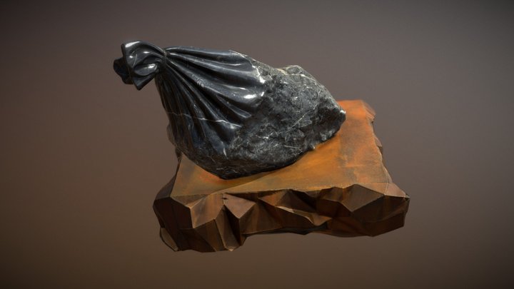 the baggage of unnecessary thoughts 3D Model