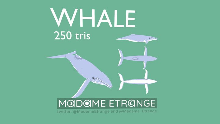 whale -#3December2021#Challenge 3D Model