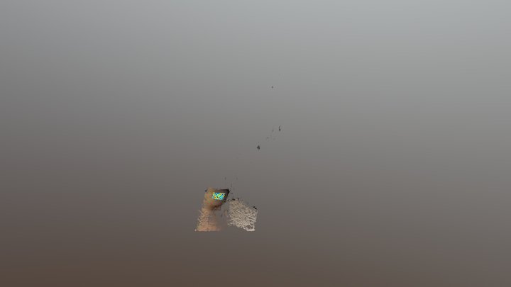 Arm point cloud with speckle pattern 3D Model
