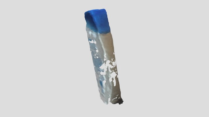 Head_shoulders_textured_mesh_medpoly_glb 3D Model