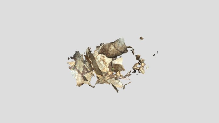 前島花崗岩 3D Model