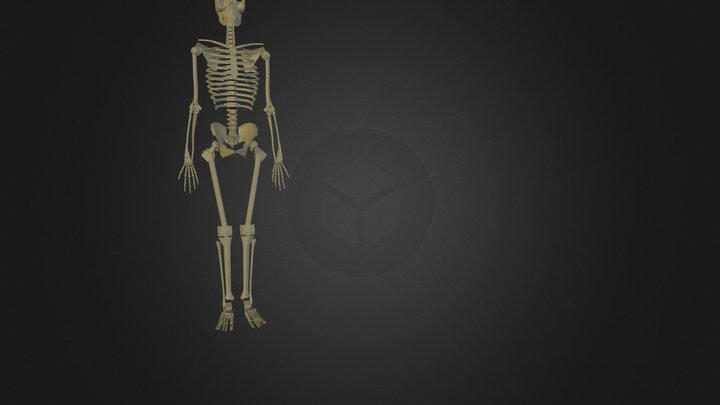 SKELETON.3DS 3D Model