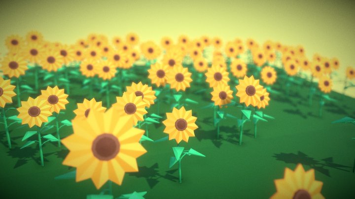 Sunflower Field