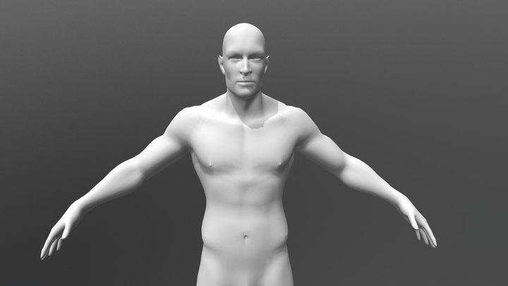 Male Body Base Mesh By Vikram 3D Model
