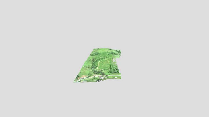 Nova Descoberta 3D Model