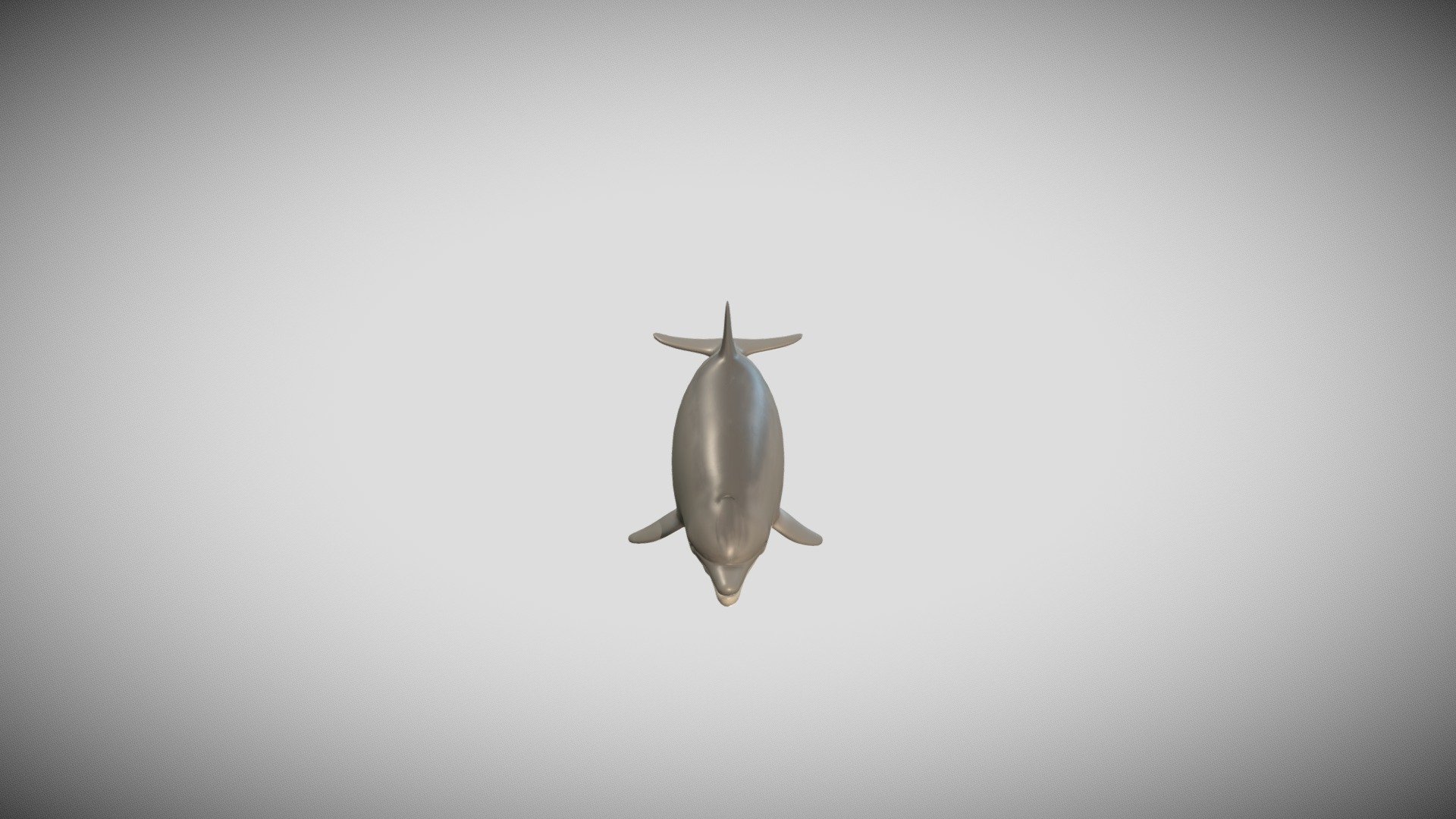 Bottlenose Dolphin — Sketchfab embed 3D viewer