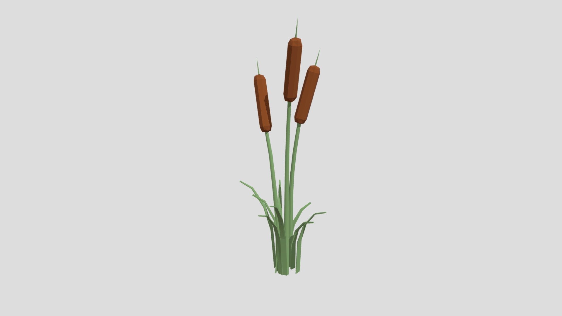 Cattail from Poly by Google