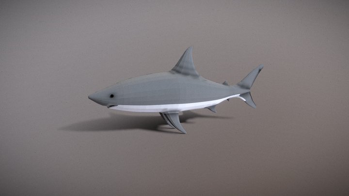 Lowpoly Shark