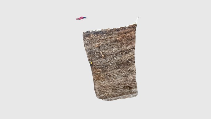 Dọa tàng 3D Model