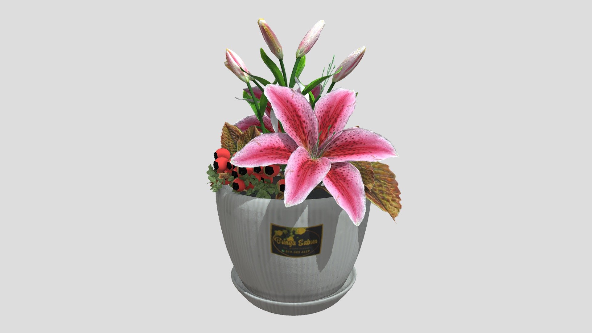 BUNGA SABUN LILY