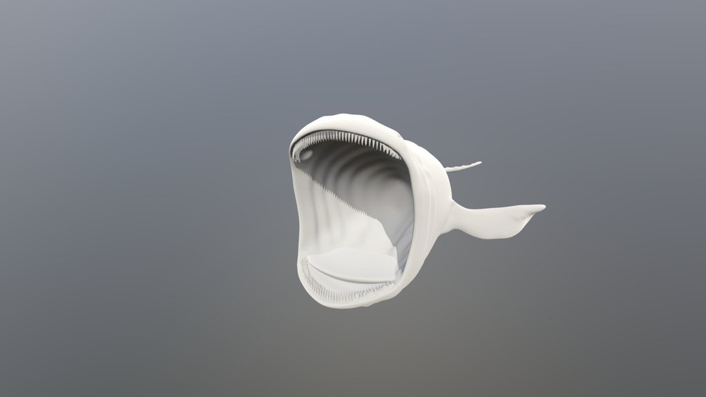 Bloop (Speculative animal)