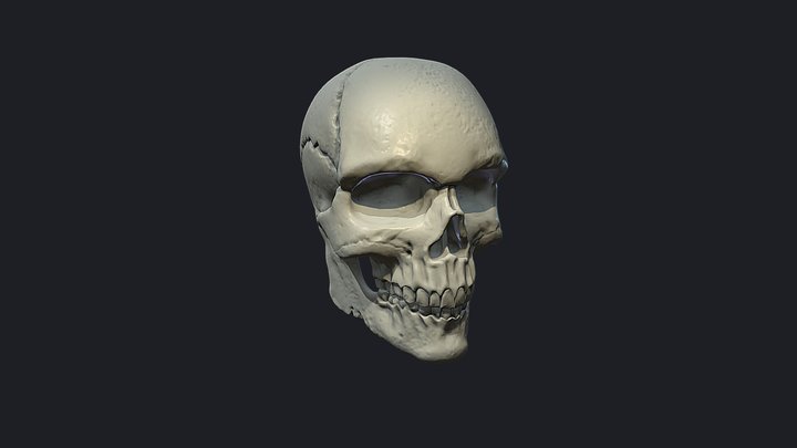 Ejercicio2.1_Skull_Maria 3D Model