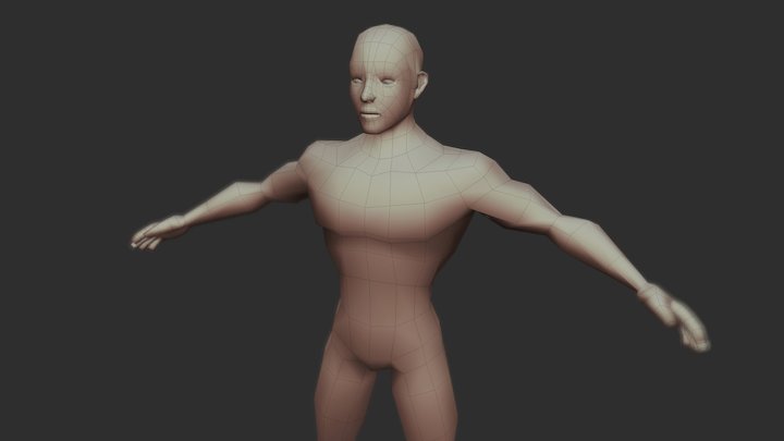 HB2 Human Body Male 3D Model
