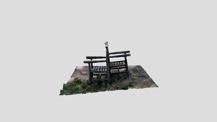 Confident 3D Model
