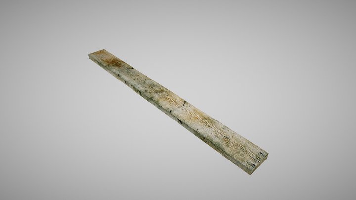 Wide Plank 3D Model