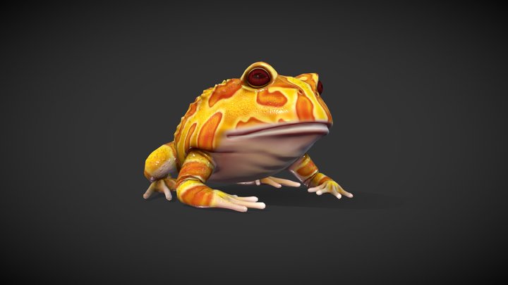 Frog Model 3D Model