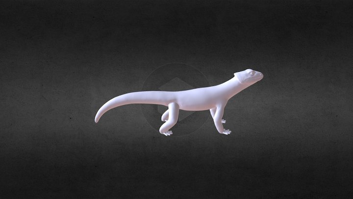 Echse 3D Model