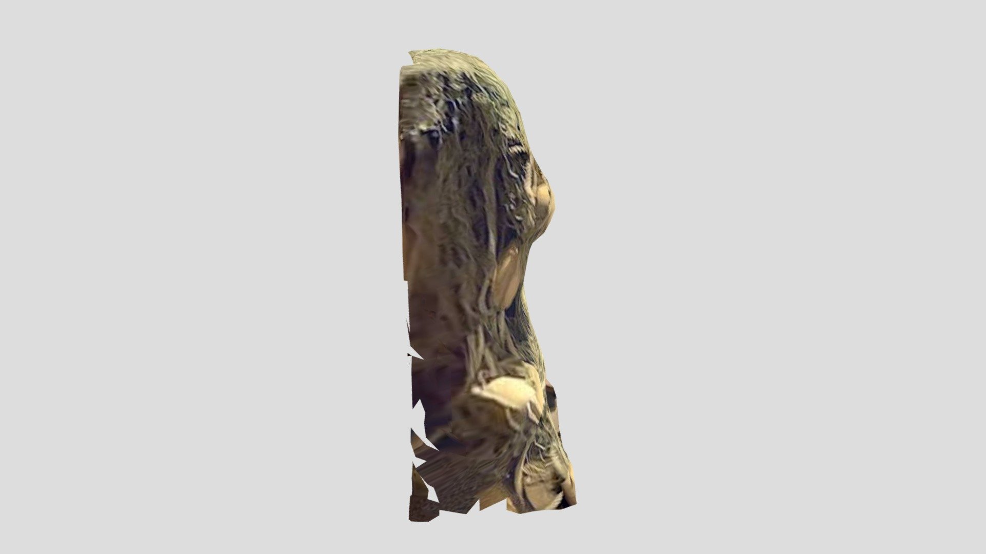 Another monster-poly
