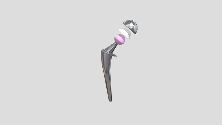 Protese-de-quadril 3D Model