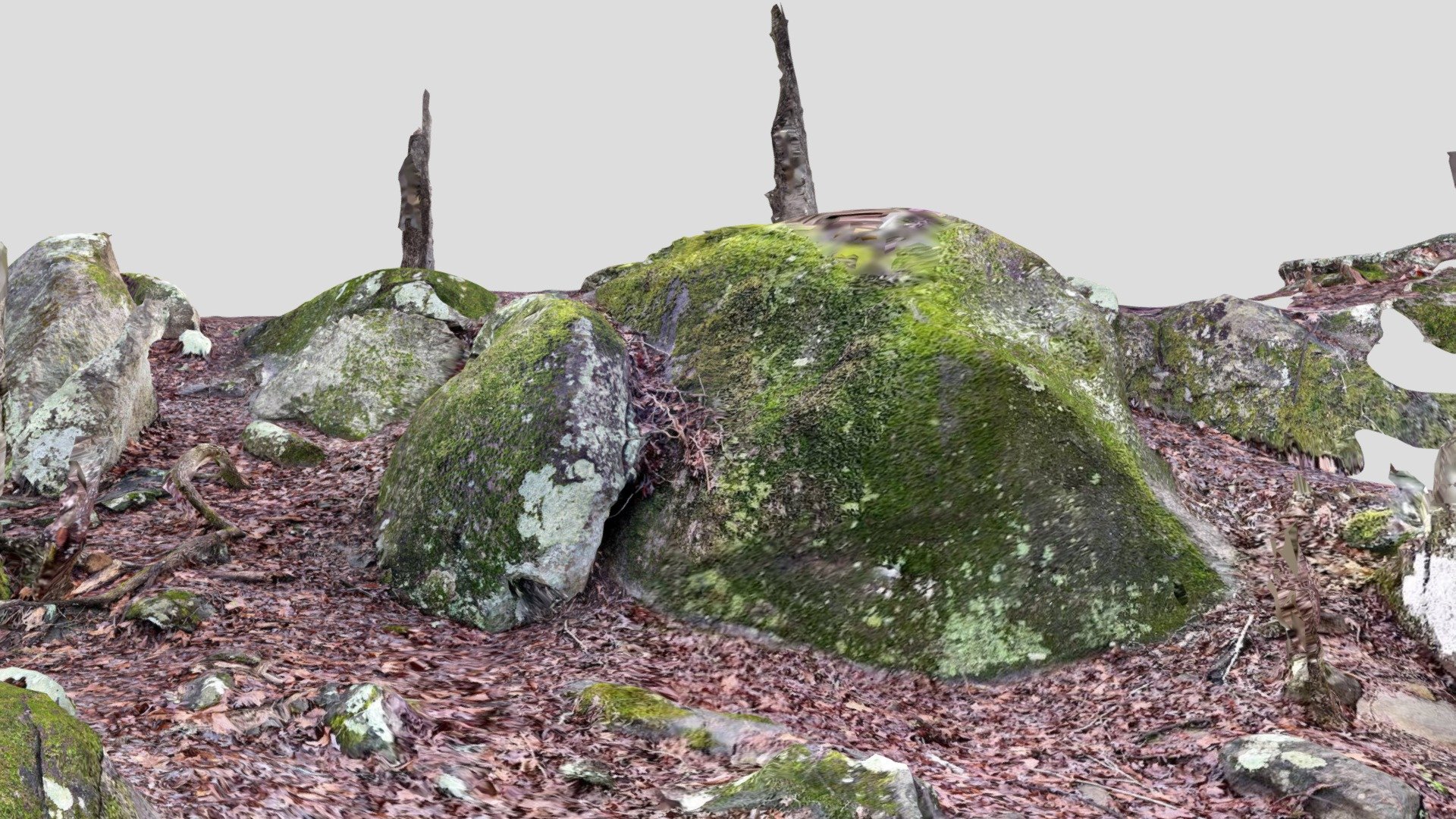 Many Moss Covered Rocks-poly