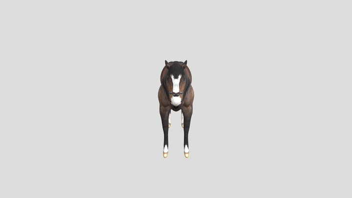 horse-free-download 3D Model