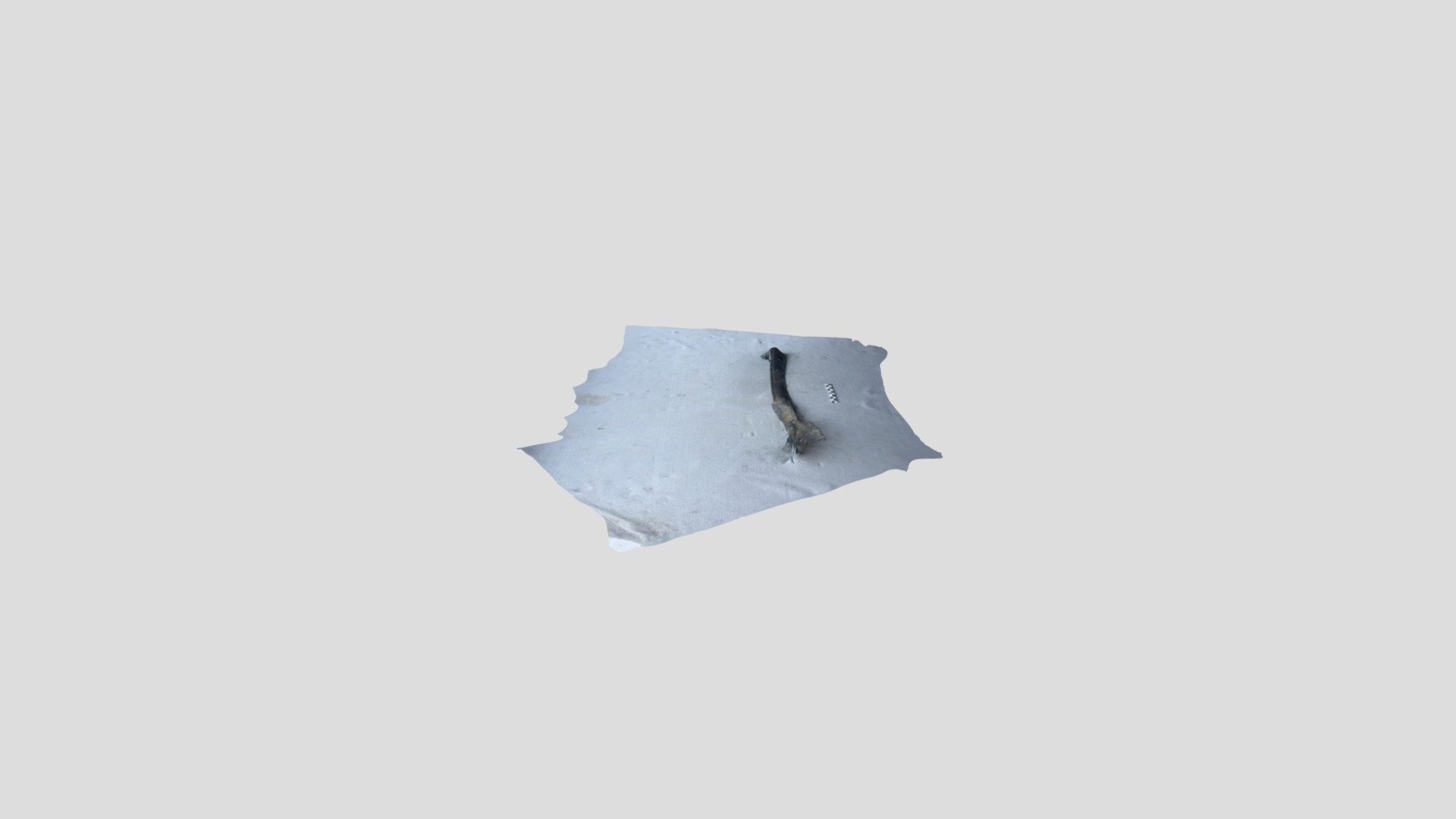 Polycam capture