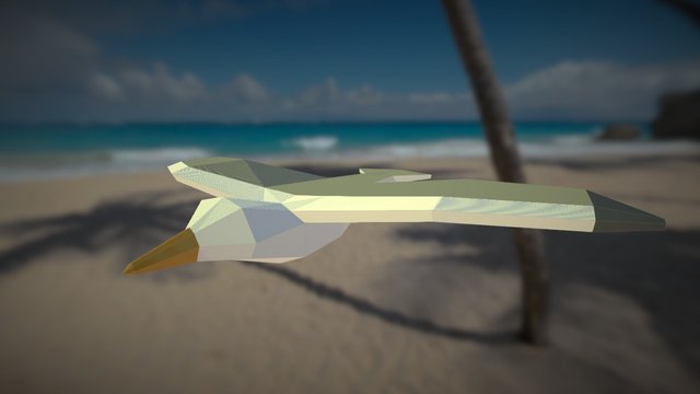 Sea Gull 3D Model