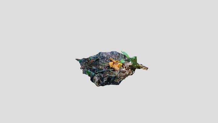 Little orange fungus, Brenta Dolomites. Kiri. – Modello 3D gratuito STL