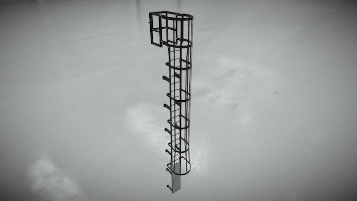Fixed Roof Access Ladder 3D Model