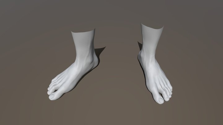 man-feet_20221022_-_taps 3D Model