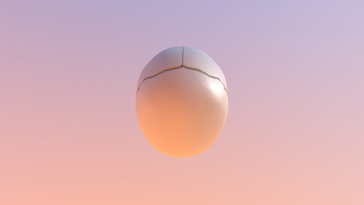 Skull Model 3D Model