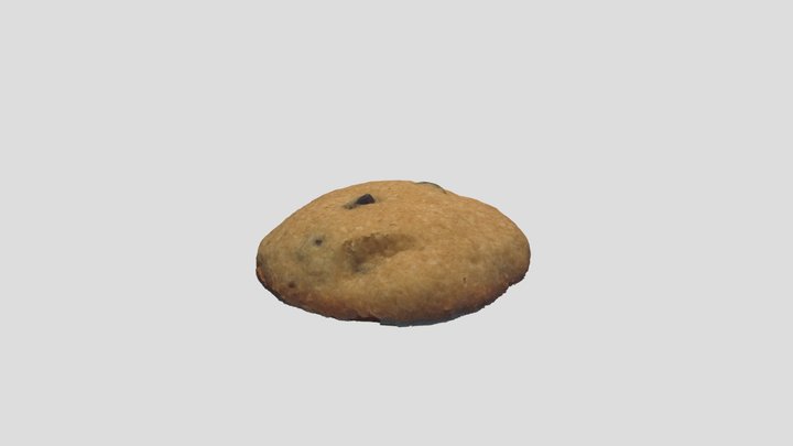 Chocolate Chip Cookie2 3D Model