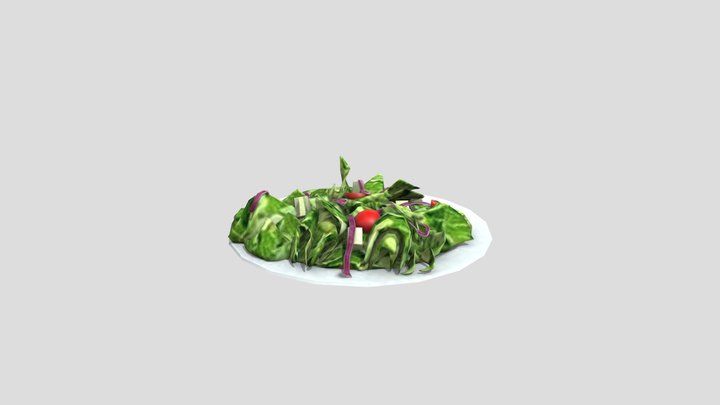 Salad 3D Model