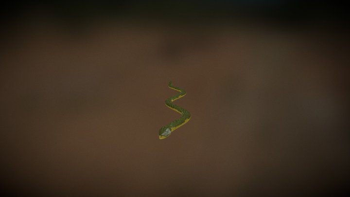Snake 3D Model